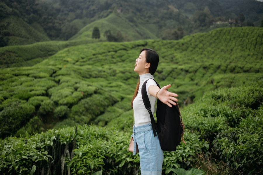 A Relaxing Road Trip to the Tea Plantations in Lankaran