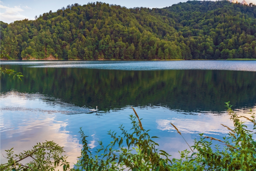 Complete Guide to Visiting Lake Goygol and Its Surroundings